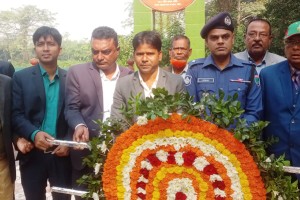 মিরপুরে যথাযোগ্য মর্যাদায় শহিদ বুদ্ধিজীবী দিবস পালিত