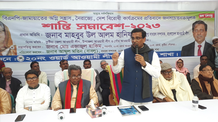 দেশে উন্নয়নের ধারা অব্যাহত রাখতে শেখ হাসিনার বিকল্প নেই : হানিফ