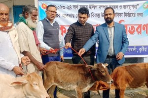 কুমারখালীতে জেলেদের বিকল্প কর্মসংস্থানের লক্ষে বাছুর গরু বিতরণ