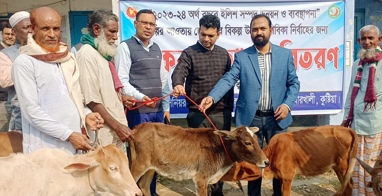 কুমারখালীতে জেলেদের বিকল্প কর্মসংস্থানের লক্ষে বাছুর গরু বিতরণ