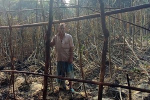 ভেড়ামারায় কৃষকের পান বরজ পুড়ে ছাই