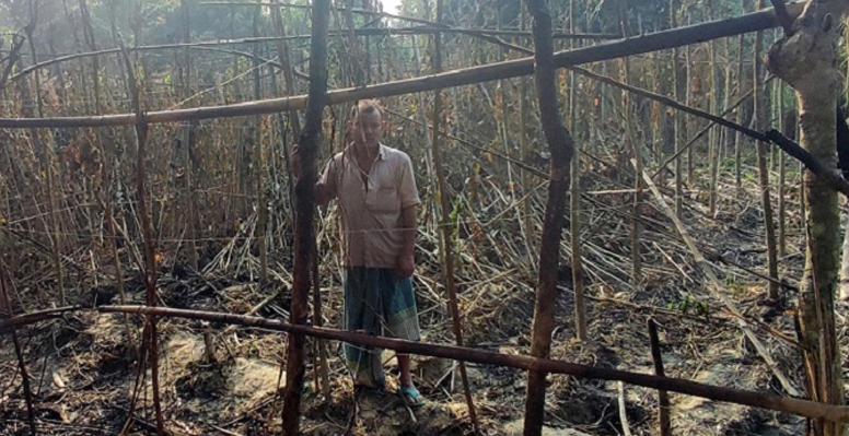 ভেড়ামারায় কৃষকের পান বরজ পুড়ে ছাই