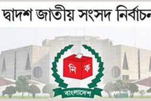 শতকরা হারে এগিয়ে দৌলতপুর, সংখ্যায় ভেড়ামারা-মিরপুর