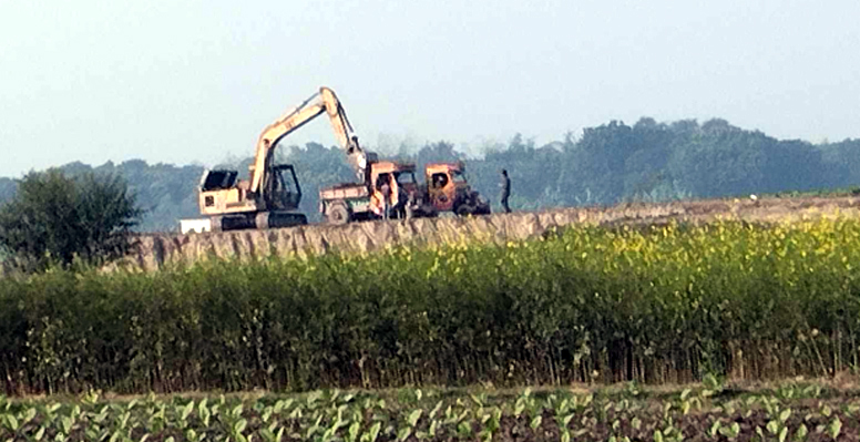 দৌলতপুরে চলছে মাটি কেটে ভাটায় বিক্রি