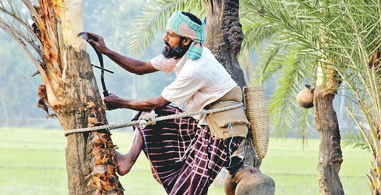দৌলতপুরে খেজুরে রস থেকে গুড় তৈরিতে ব্যস্ত গাছিরা