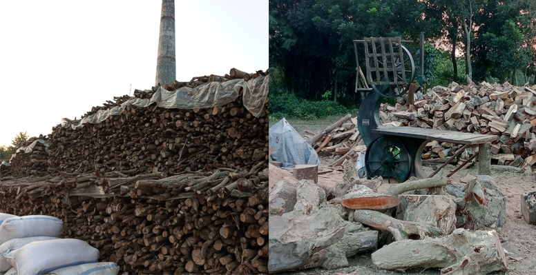 কুষ্টিয়াতে অবৈধ ইটভাটা চলছে ধুমিয়ে আর প্রশাসন আছে ঘুমিয়ে