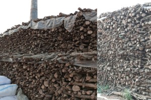 দৌলতপুরের অবৈধ ইটভাটায় অবাধে পোড়ানো হচ্ছে কাঠ