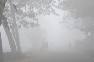 কুষ্টিয়াসহ ২১ জেলায় শৈত্যপ্রবাহ অব্যাহত থাকার আভাস