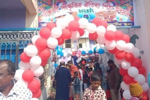 ভেড়ামারায় কিন্ডারগার্টেন স্কুলে পিঠা উৎসব