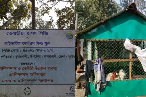 কুমারখালী প্রাণিসম্পদ অফিসের প্রকল্পের টাকা নয় ছয়