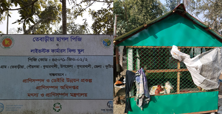 কুমারখালী প্রাণিসম্পদ অফিসের প্রকল্পের টাকা নয় ছয়