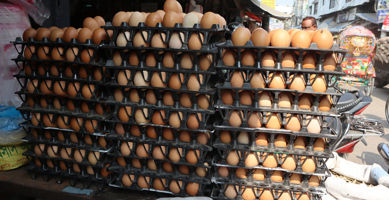 কুষ্টিয়ায় দাম বেড়েছে ডিমের