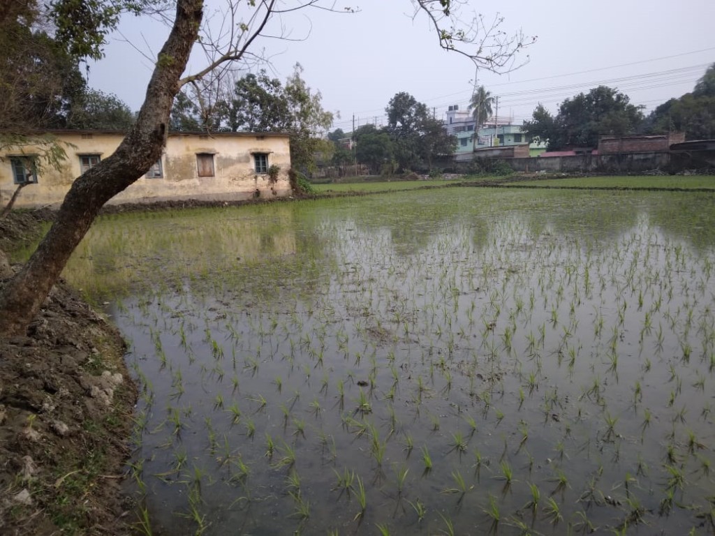 কুষ্টিয়ায় কাউন্সিলর পুত্রের দখলে সরকারি জমি 5 173867833167a2203b7ed0e 1 কুষ্টিয়ায় কাউন্সিলর পুত্রের দখলে সরকারি জমি
