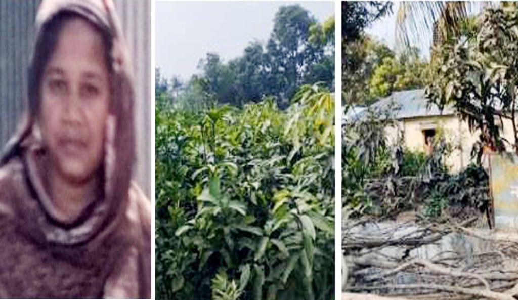 দৌলতপুরে মুক্তি নারী সংস্থার সহায়তায় নার্সারী করে স্বাবলম্বী শিল্পী খাতুন 5 173867833667a220400232c 1 দৌলতপুরে মুক্তি নারী সংস্থার সহায়তায় নার্সারী করে স্বাবলম্বী শিল্পী খাতুন