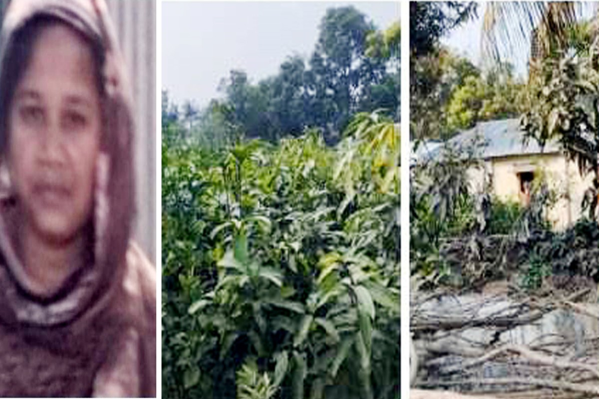 দৌলতপুরে মুক্তি নারী সংস্থার সহায়তায় নার্সারী করে স্বাবলম্বী শিল্পী খাতুন