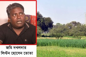 দৌলতপুরে সাবেক মেম্বার তোতা গং এর বিরুদ্ধে জোরপূর্বক জমি দখলের অভিযোগ