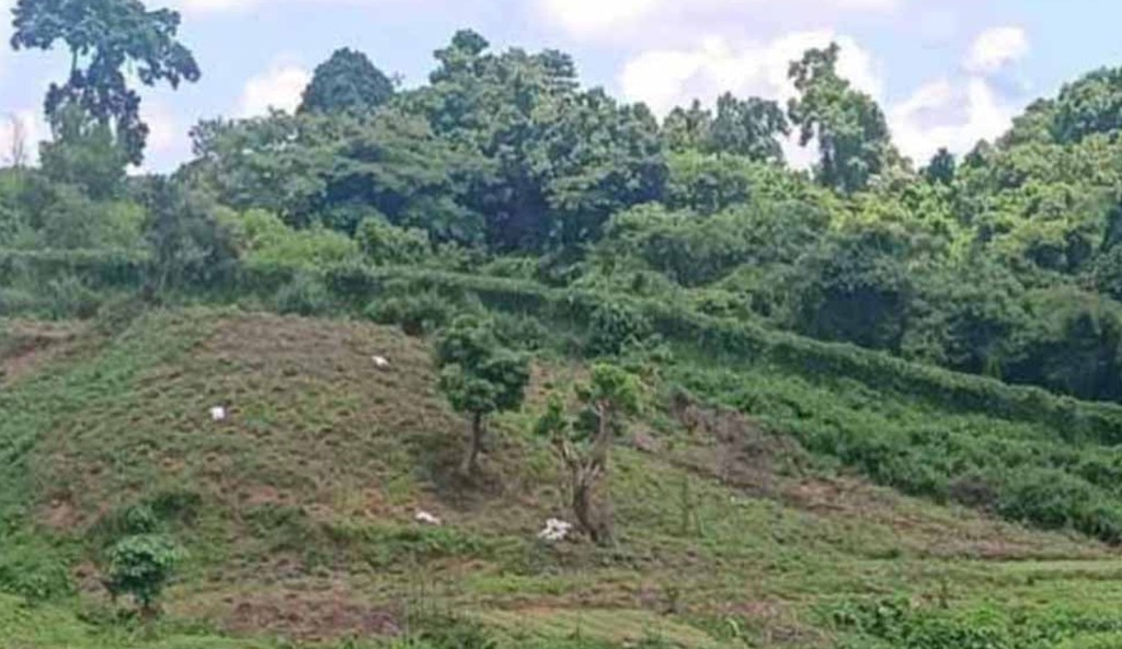 সীমান্তে মিয়ানমারের ছোড়া গুলিতে আরেক বাংলাদেশি গুলিবিদ্ধ 4 173867838867a22074c3bdf 1 সীমান্তে মিয়ানমারের ছোড়া গুলিতে আরেক বাংলাদেশি গুলিবিদ্ধ
