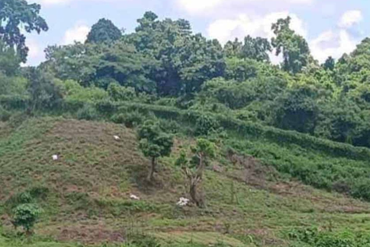 সীমান্তে মিয়ানমারের ছোড়া গুলিতে আরেক বাংলাদেশি গুলিবিদ্ধ