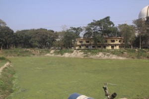 এ বছর অতিথি পাখিশূন্য ইবি লেক