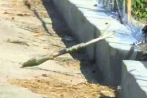 সীমান্তে মিলল আরও ১ আরপিজি