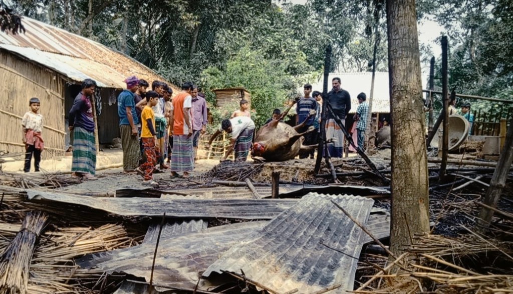 শৈলকুপায় গোয়াল ঘরে অগ্নিকান্ডে পুড়ে মারা গেছে ২টি গরু 4 173867854567a221113ed53 1 শৈলকুপায় গোয়াল ঘরে অগ্নিকান্ডে পুড়ে মারা গেছে ২টি গরু