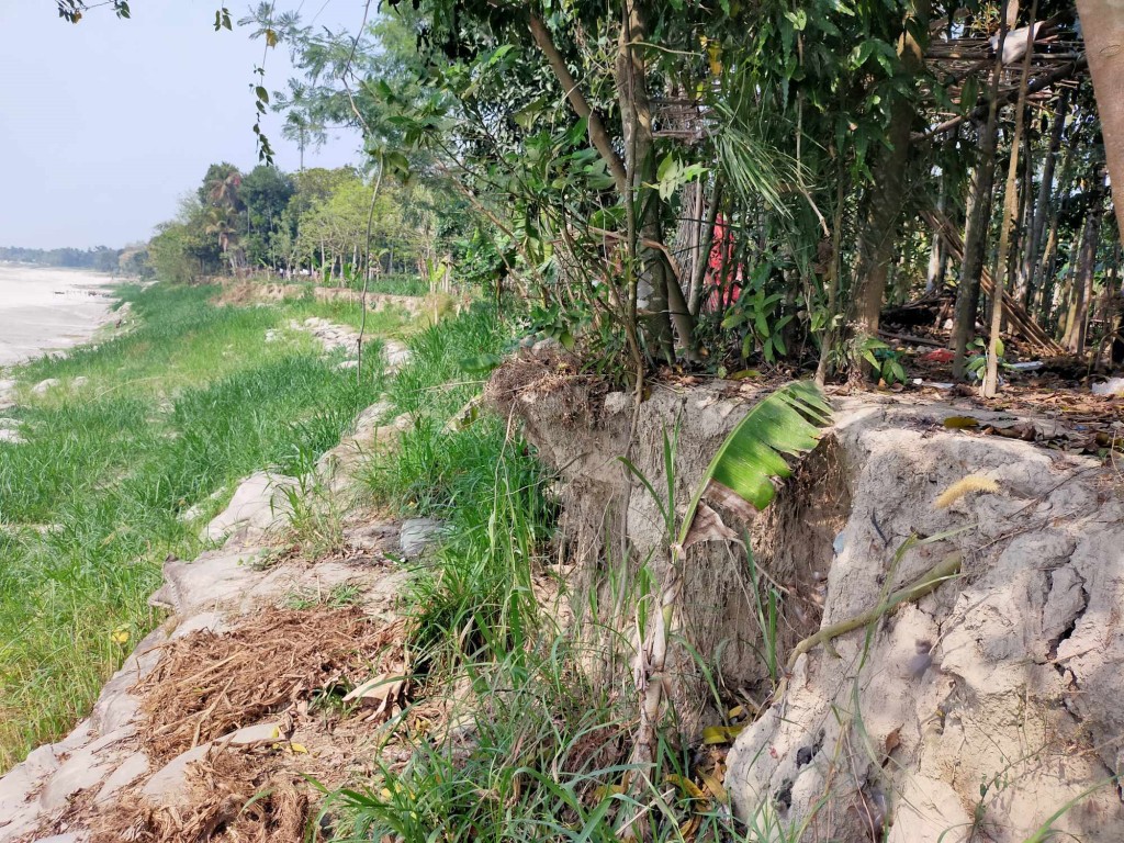 চার যুগের অধিক সময় ধরে নদী ভাঙন কুমারখালীতে নদী ভাঙনের কবলে চারটি গ্রাম 3 173867856867a22128cd675 1 চার যুগের অধিক সময় ধরে নদী ভাঙন কুমারখালীতে নদী ভাঙনের কবলে চারটি গ্রাম