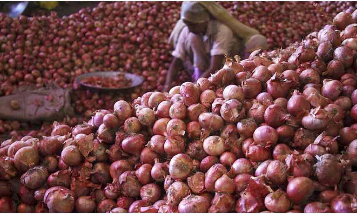 ৫০ হাজার টন পেঁয়াজ রপ্তানির অনুমতি দিল ভারত