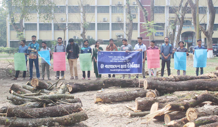 ইবিতে গাছ কেটে মঞ্চ তৈরি করার প্রতিবাদে অবস্থান কর্মসূচি