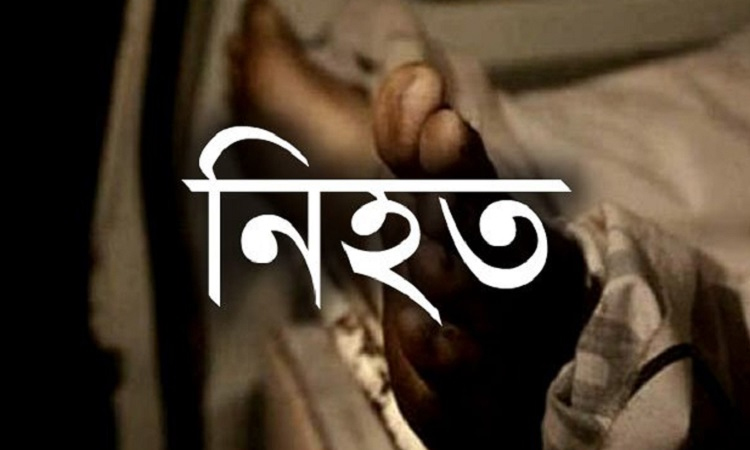 কুষ্টিয়ায় সড়ক দূর্ঘটনায় নিহত ১