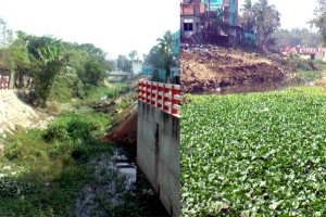 উন্নয়ন প্রকল্পে খাল ভরাট কুষ্টিয়ায় জলাবদ্ধতায় কৃষি জমি হুমকিতে পরিবেশ 