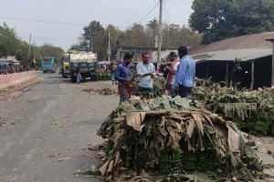 কুষ্টিয়া-ঝিনাইদহ মহাসড়ক দখল করে কলার হাট 
