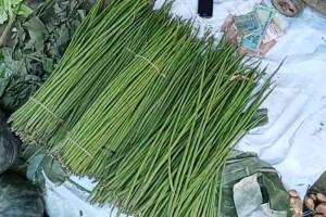 চুয়াডাঙ্গায় ৬০০ টাকা কেজি সজনে ডাটা