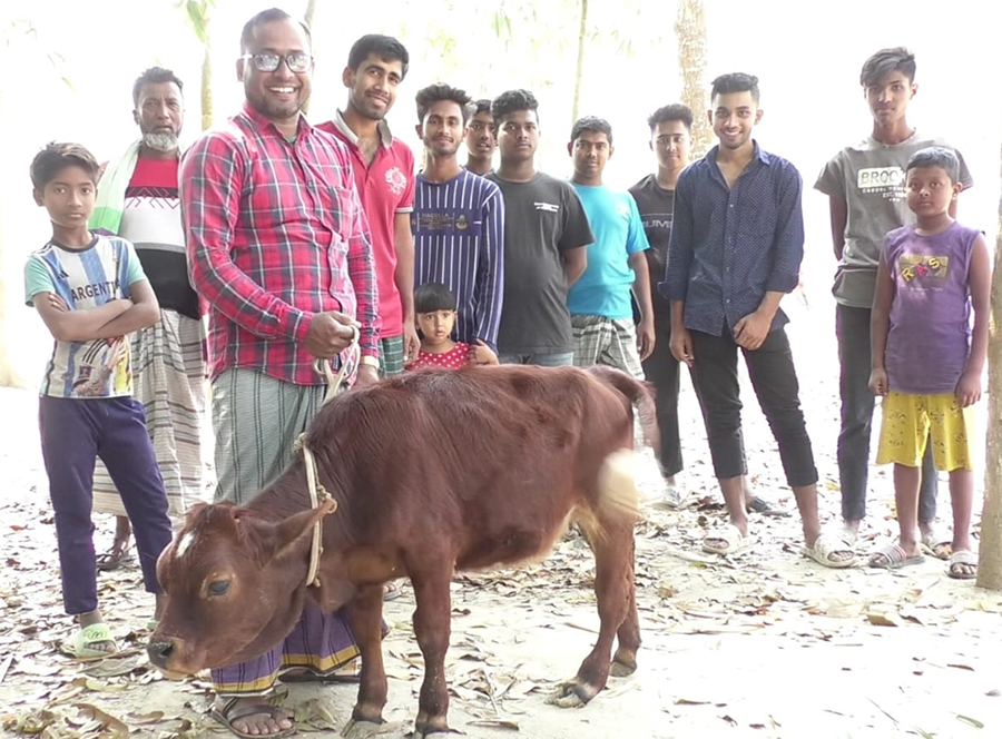 খর্বাকৃতির গরু দেখতে উৎসুক জনতা 