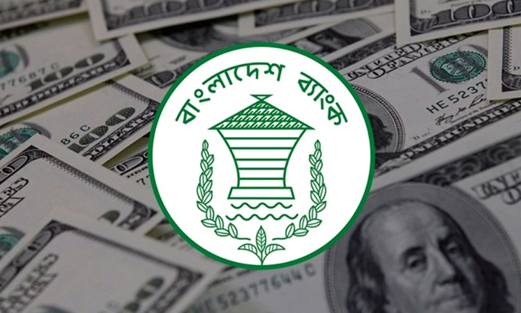 দেশের রিজার্ভ বেড়ে ২৫.২৩ বিলিয়ন ডলার