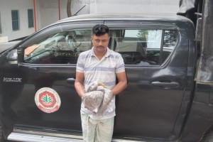 কুমারখালীতে গাঁজাসহ সহ মাদক ব্যবসায়ী আটক