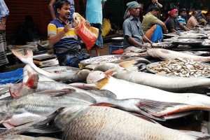 ষাটের নিচে সবজি নেই, মাছ-মাংসে অস্বস্তি