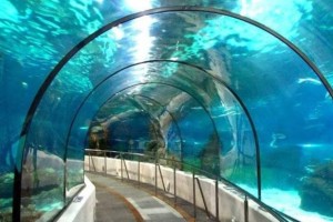 কলকাতায় বাণিজ্যিকভাবে চালু হলো ভারতের প্রথম আন্ডারওয়াটার মেট্রো