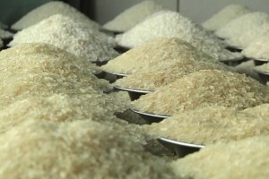 এবার বাড়ল চালের দাম