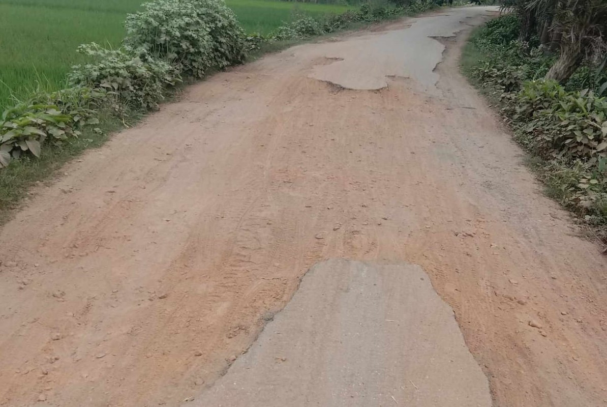 মিরপুরের মশান-পোড়াদহ রাস্তার বেহাল দশা