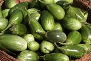 ভেড়ামারায় প্রতি কেজি বেগুনের দাম ১০ টাকা