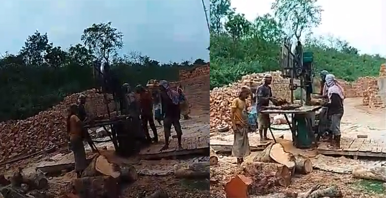 কুমারখালীর অবৈধ গড়াই ইটভাটায় প্রকাশে চলছে কাঠ পোড়ানোর উৎসব
