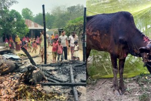 কুমারখালীতে দুই ঘণ্টার আগুনে দিনমজুরের স্বপ্ন পুড়ে শেষ