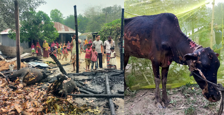 কুমারখালীতে দুই ঘণ্টার আগুনে দিনমজুরের স্বপ্ন পুড়ে শেষ