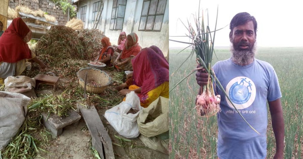 পেঁয়াজ উৎপাদনের খরচ বেশি হওয়ায় হতাশায় কুষ্টিয়ার চাষিরা 5 173867894367a2229f829e0 পেঁয়াজ উৎপাদনের খরচ বেশি হওয়ায় হতাশায় কুষ্টিয়ার চাষিরা