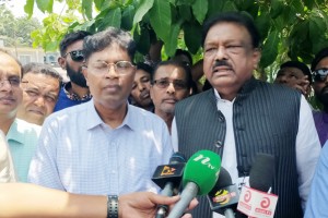 কুমারখালীর সেই সড়কের গাছকাটা বন্ধ করল এমপি রউফ