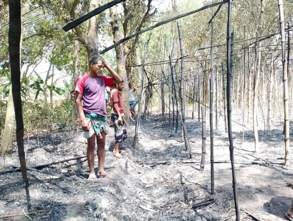ভেড়ামারায় আবারও আগুনে পুড়ল ৫০ বিঘা পানের বরজ 5 173867925667a223d80ac1e ভেড়ামারায় আবারও আগুনে পুড়ল ৫০ বিঘা পানের বরজ