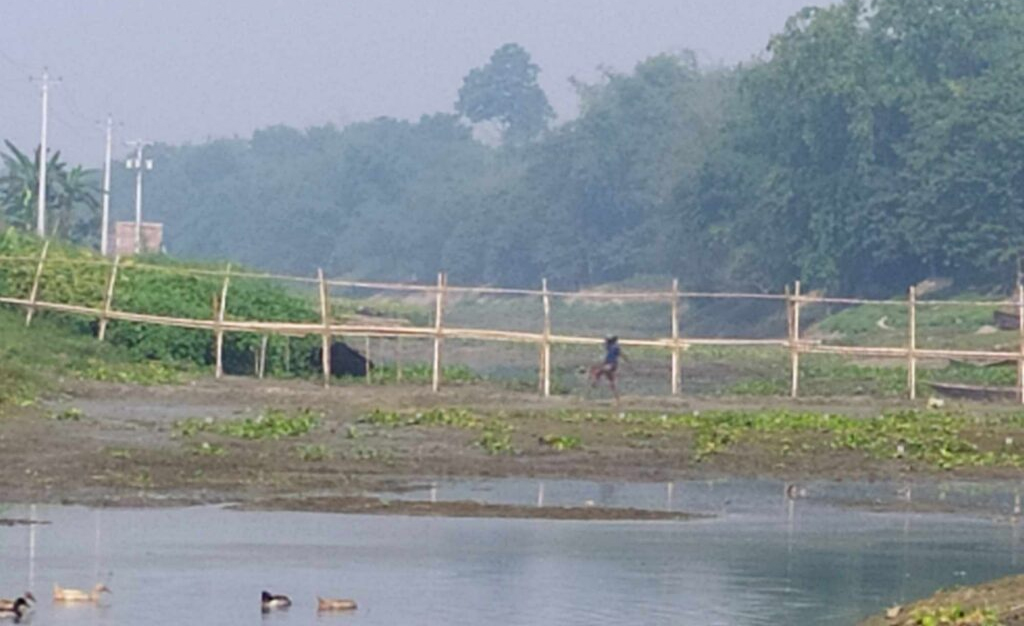 কুষ্টিয়ার খলিসাকুন্ডীতে পানির অভাবে ফসলের খেত শুকিয়ে দিশেহারা কৃষক
