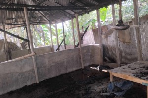 দৌলতপুরে গরুসহ খামার পুড়ে ভস্মীভূত 