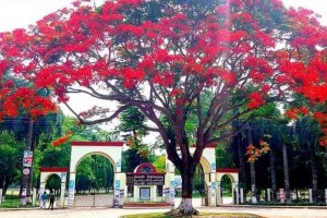 নিষেধাজ্ঞা অমান্য করে ভবনে প্রবেশ, দুই শিক্ষকের বিরুদ্ধে লিখিত অভিযোগ