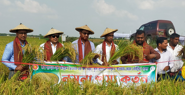 বর্ধিত জনসংখ্যার চাহিদা মেটাতে সমলয় চাষাবাদের বিকল্প নেই : ডিসি এহেতেশাম রেজা